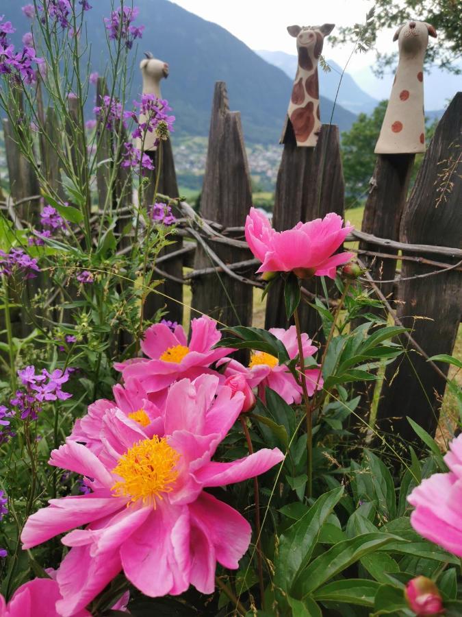 Wieserhof Tirol Ец Екстер'єр фото